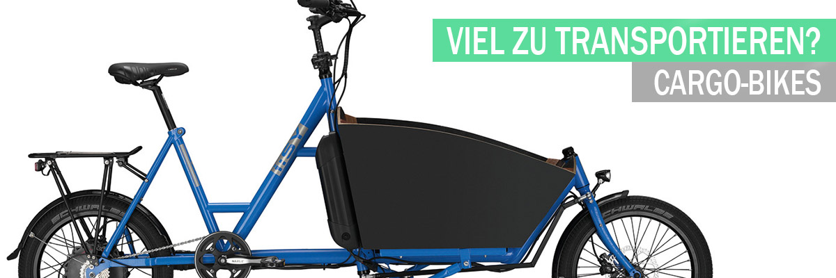 ein fahrrad bekommen oder einen fahrrad