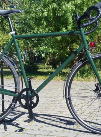 LEIPZSCHER - Randonneur - 11-Gang Alfine DI2