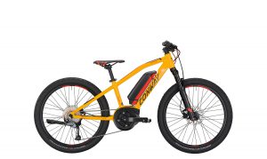 CONWAY - EMS 240 - 24 Zoll